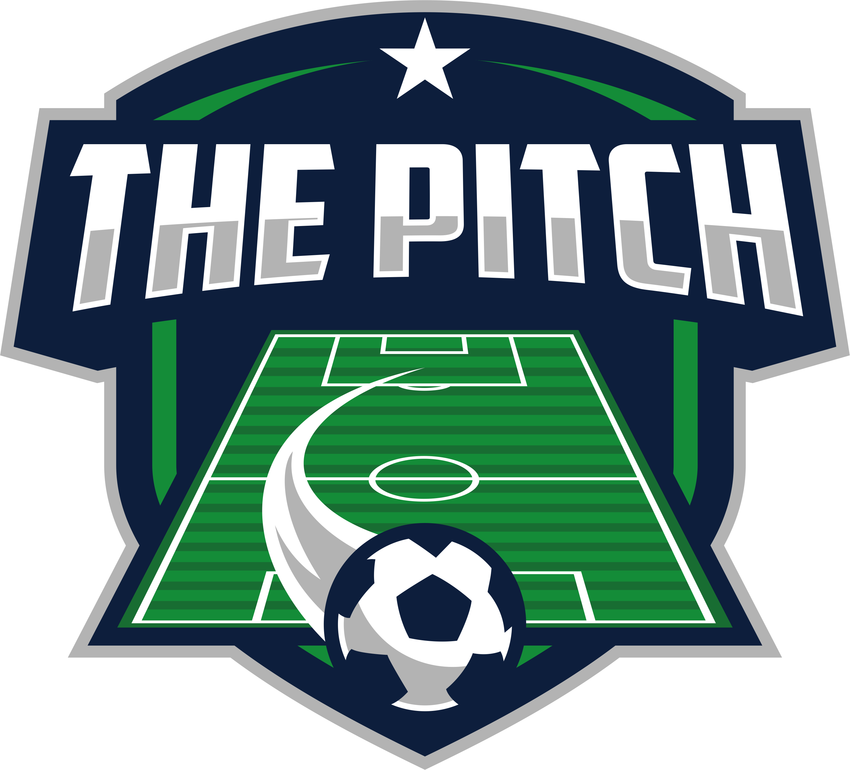 The Pitch